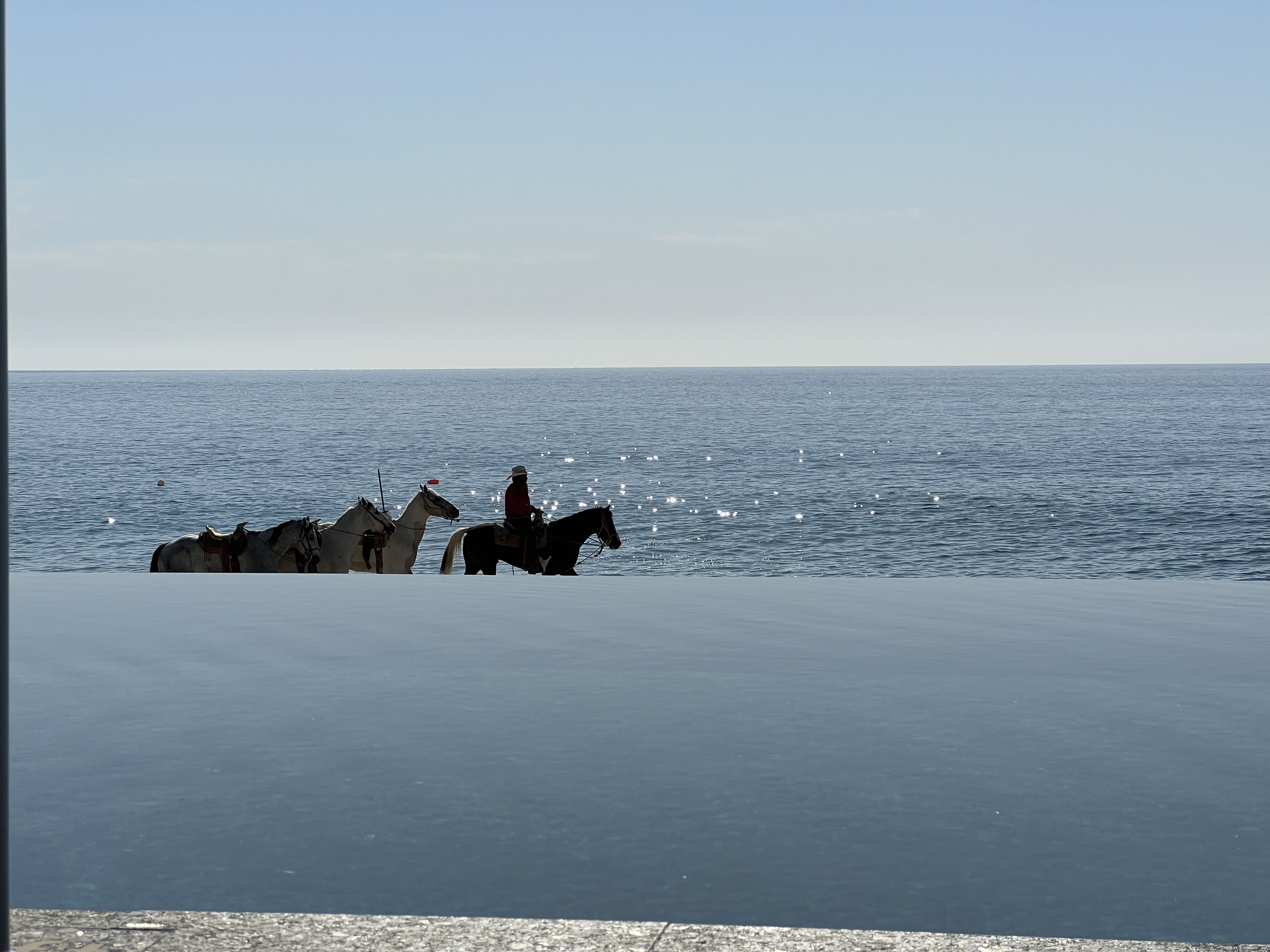 ./2024/13 - Cabo/IMG_4596.jpg